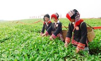 山萝省木州县举行2016年第一次木州高原茶节