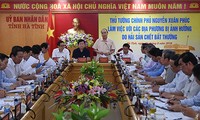 越南政府总理阮春福要求坚决处理在中部环境事件中违反法律的组织和个人