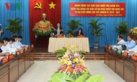 越南国会主席阮氏金银检查监督安江省选举准备工作