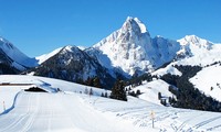 瑞士阿尔卑斯山发生雪崩