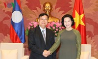 越南国会主席阮氏金银会见老挝国会副主席宋潘