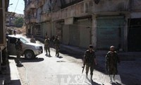 联合国审议叙利亚停火协议实施方案