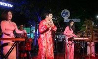 胡志明市步行街上的民族音乐、大学生乐队和服装表演深受喜爱