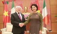 越南国会主席阮氏金银会见爱尔兰总统希金斯
