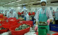 促进越南出口企业可持续发展