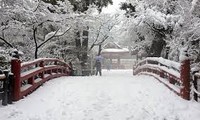 日本继续普降大雪