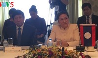 老挝国会主席巴妮与胡志明市领导人举行工作会谈