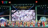 2017下龙安子樱花和黄梅节开幕