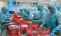 越南水产业面向提高虾出口额的目标