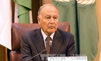 阿盟秘书长盖特呼吁为叙利亚冲突寻找解决方案