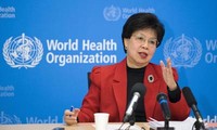 越南国会副主席丛氏放会见世界卫生组织总干事陈冯富珍