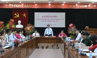河内市越南-古巴友好协会代表大会