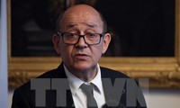 法国支持解决利比亚危机的努力