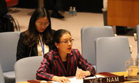 越南主动积极参与联合国维和行动
