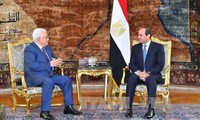 埃及和巴勒斯坦探讨中东和平进程解决方案