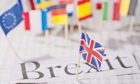 欧盟愿给予英国最优贸易协定
