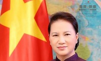  越南国会主席阮氏金银启程对新加坡和澳大利亚进行正式访问