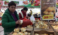 2017年韩国中小企业对越南出口猛增