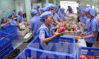 协助越南农产品在韩国市场站稳脚跟