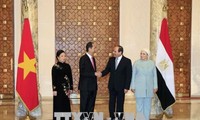 埃及总统塞西主持仪式欢迎越南国家主席陈大光 双方举行会谈