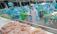 越南努力建设可持续发展的渔业