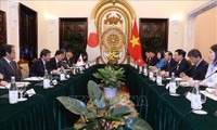 越南和日本外长级会谈举行