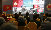 越南参加联合国维和行动国防部指导委员会举行视频会议