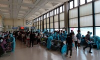 越南将在中国台湾的230名公民接回国