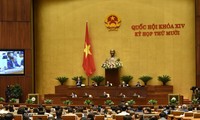 越南国会讨论经济社会问题