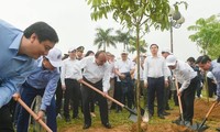 阮春福总理出席义安省响应种植10亿棵树项目仪式