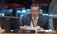 越南对非洲大湖地区局势表示担忧