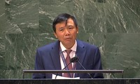 越南支持联合国安理会进行改组