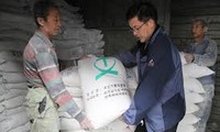 Two South Korean aid groups to send aid to North Korea