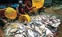 Vietnamese tra fish enlists Denmark and Sweden’s green books
