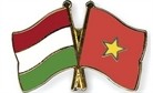 Vietnam and Hungary strengthen audit cooperation