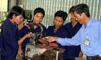 Vocational training in rural areas reviewed