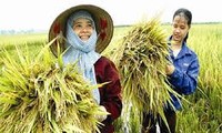 Vietnam Farmers’ Association opens its 5th executive committee session