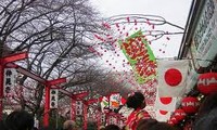 Tet party celebrated in Japan 