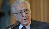 El-Arabi discusses Syrian crisis with Brahimi