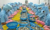 Vietnam shrimp exporters determined not engaged in dumping   