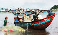 World Bank provides 6.5 million dollars of aid to Vietnam’s fisheries sector