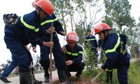 Da Nang launches trees planting festival 2014