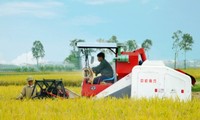 New rural economic models to be built in Thuy Ninh
