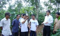 New rural development in Cu M’ga, Dak Lak