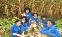 Students volunteer to assist rural development in Phu Yen 
