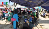 Dong Van market attracts foreign tourists
