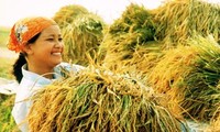 Vietnam's agriculture needs restructuring to assure food security 
