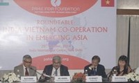 Roundtable features India-Vietnam cooperation