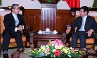 Japan, Vietnam hold fifth Strategic Partnership Dialogue