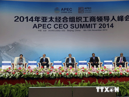 President Truong Tan Sang attends 2014 APEC CEO summit